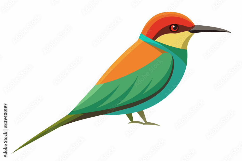 bee eater bird vector illustration bee eater bird vector illustration