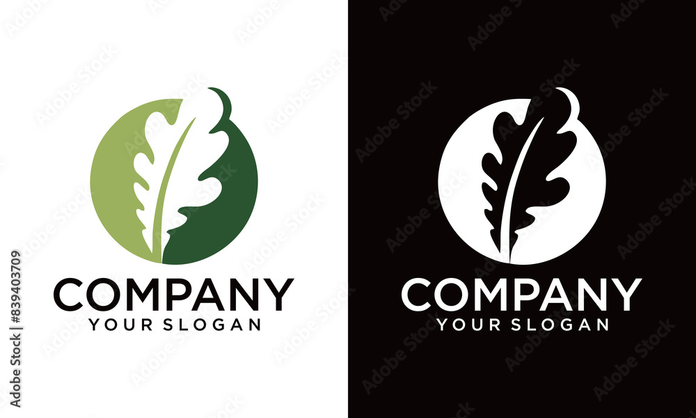 Obraz premium leaf logo template Vector icon