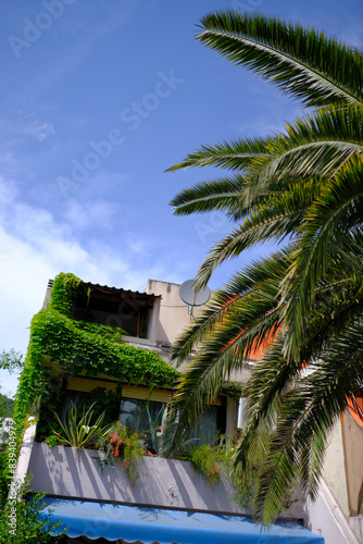 House that has braided grapes you can see the balcony and on it big flowers, cactus, agave, blue sky, palm trees. Summer terrace 