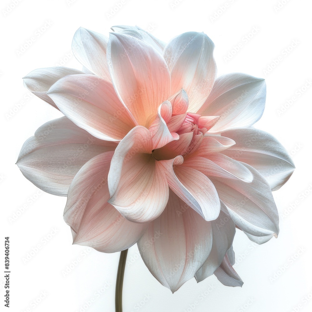 Serendipity Concept - Isolated Objects on White Background Serendipity Concept - Isolated Objects on White Background