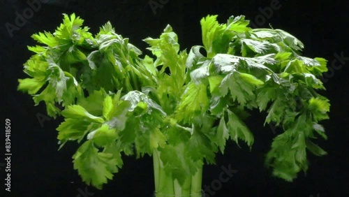 celery leaves in the wind, video