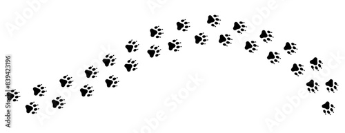 Dog tracks. Paw print. A line of footprints. Vector template. Illustration isolated on white background.