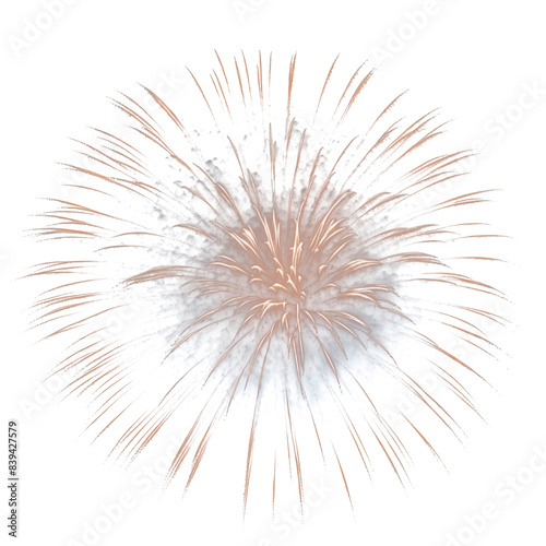A vibrant explosion of colors illuminating the dark night sky, showcasing a dazzling fireworks display
