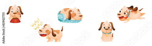 Cute Dog with Collar as Domestic Pet Engaged in Different Activity Vector Set