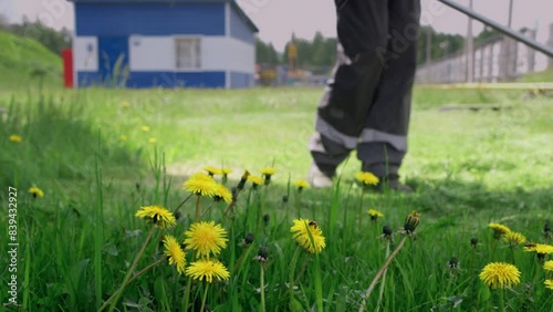 Person is trimming overgrown grass with string trimmer at industrial site with buildings. Slow Motion Video