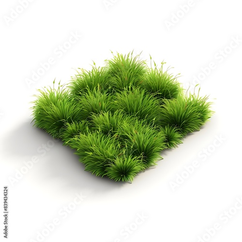 Lush Green Grass Patch on White Background - Isolated Grass Clump for Landscaping, Gardening, and Nature Design Projects
