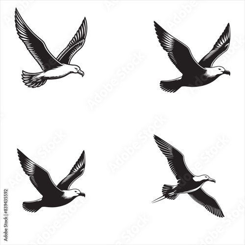 Albatross silhouette vector art white background
