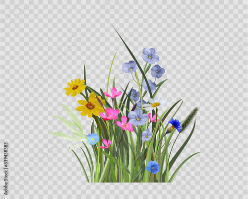 Background of wild flowers in the grass on a transparent background