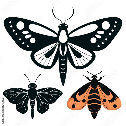 Set of butterflies moth lepidopteran insect papillon Vector silhouette