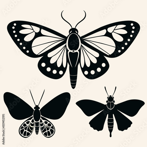 Set of butterflies moth lepidopteran insect papillon Vector silhouette