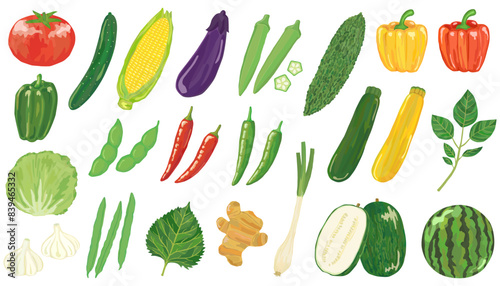 夏野菜のイラストセット ベクター素材