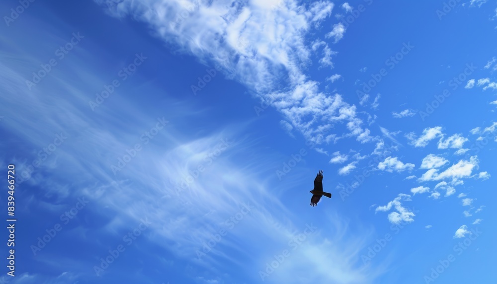 Solitary Flight: The Black Kite in the Blue Sky Solitary Flight: The Black Kite in the Blue Sky