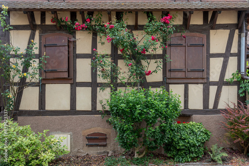 Goxwiller, France - 06 29 2023: View of flowers in front of a closed window by a shutter of a typical Alsacian house. photo