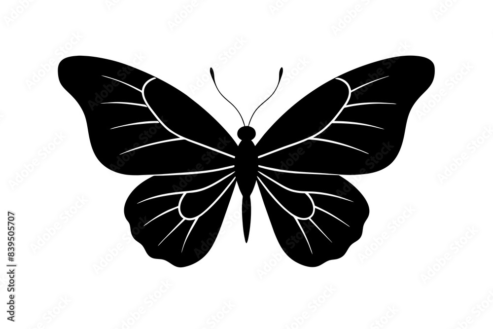 butterfly silhouette vector illustration butterfly silhouette vector illustration