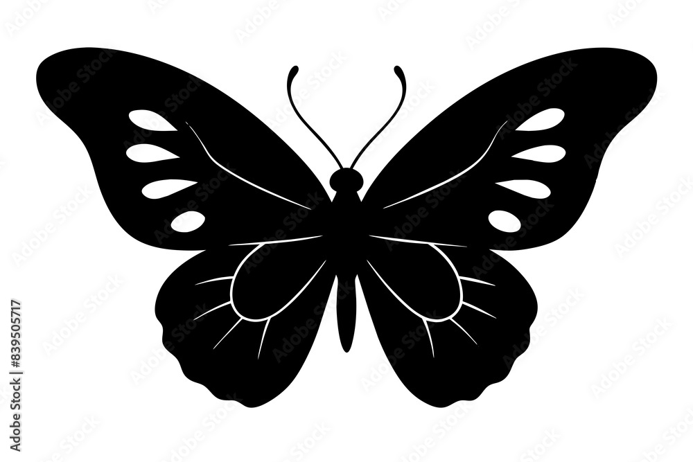 butterfly silhouette vector illustration butterfly silhouette vector illustration