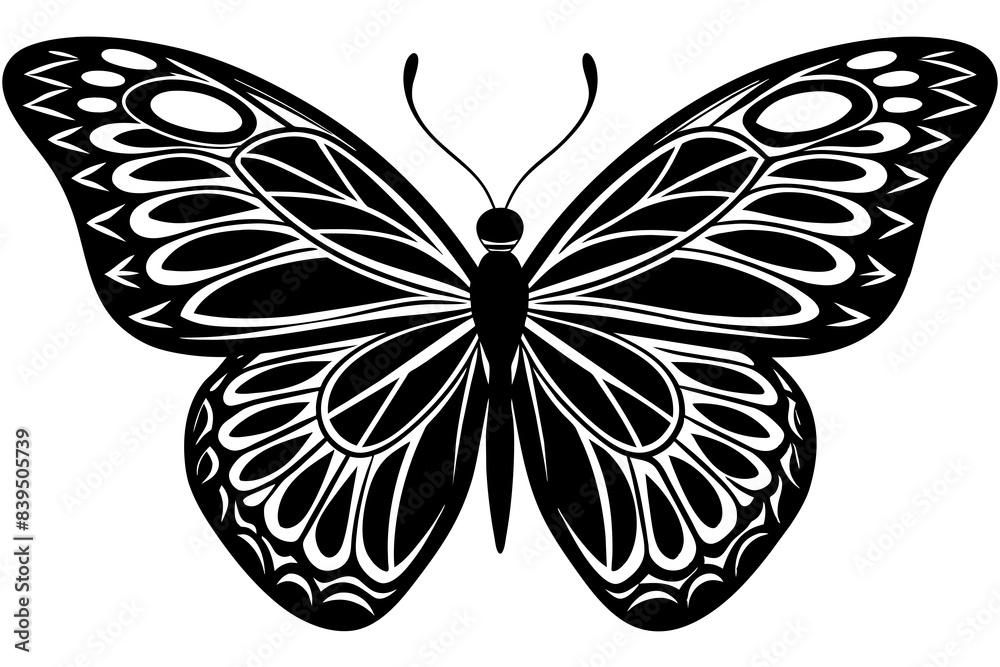 butterfly silhouette vector illustration butterfly silhouette vector illustration