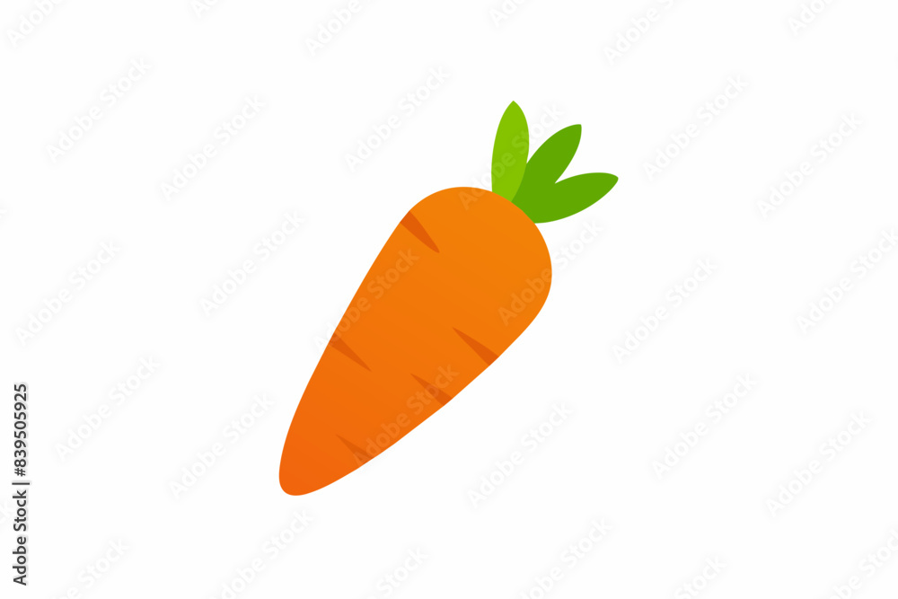 carrot vector illustration carrot vector illustration