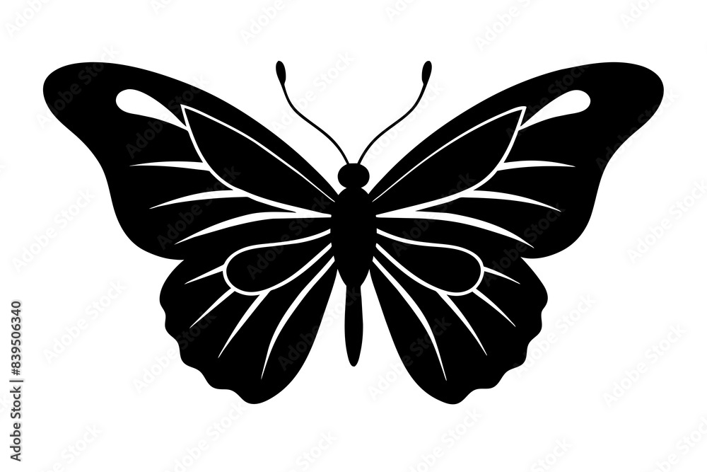 butterfly silhouette vector illustration butterfly silhouette vector illustration