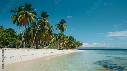 a tropical beach setting with palm trees and a clear blue sky. The sand is white and there s a blue body of water
