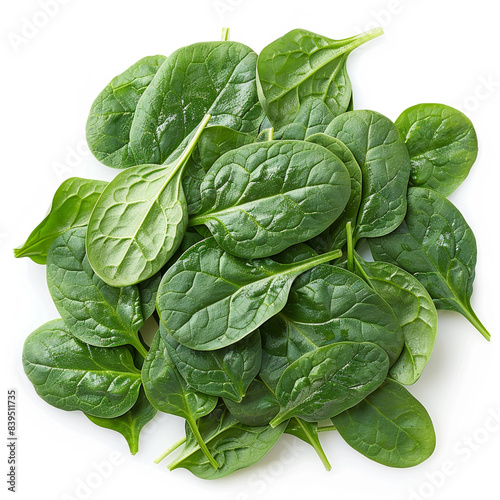 Fresh Spinach Pile Green Leaves Green Spinach Leaves photo