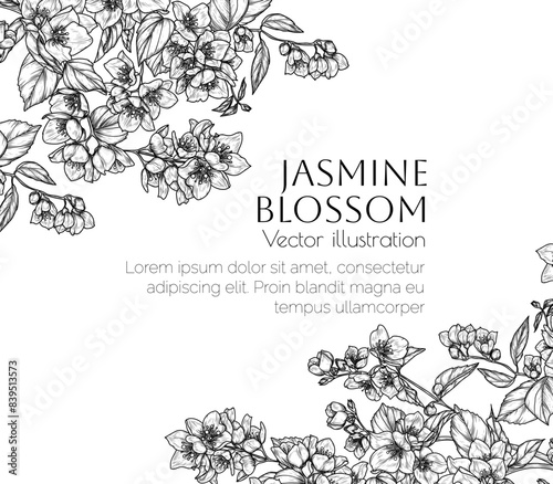 Vector frame of a branch of blooming jasmine in engraving style