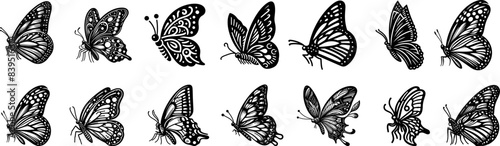 Set of vector butterfly icons . Butterfly silhouettes collection . Exotic flying butterflies logo side view.