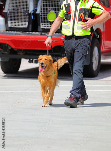 Search and rescue dog handler with his canine companion tracking missing person