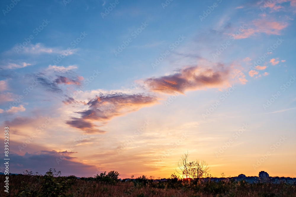 Landscape, sunrise on a meadow, against the background of a dry tree, outside the city. Selective focus Landscape, sunrise on a meadow, against the background of a dry tree, outside the city. Selective focus