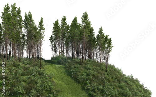 3D render meadow and pine forest on transparent background photo