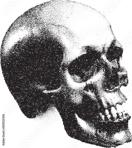 Human skull in dotwork or tattoo style. Mystic skull, drawn with dots