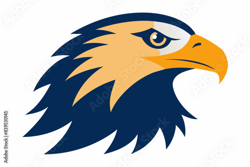 eagle face vector illustration
