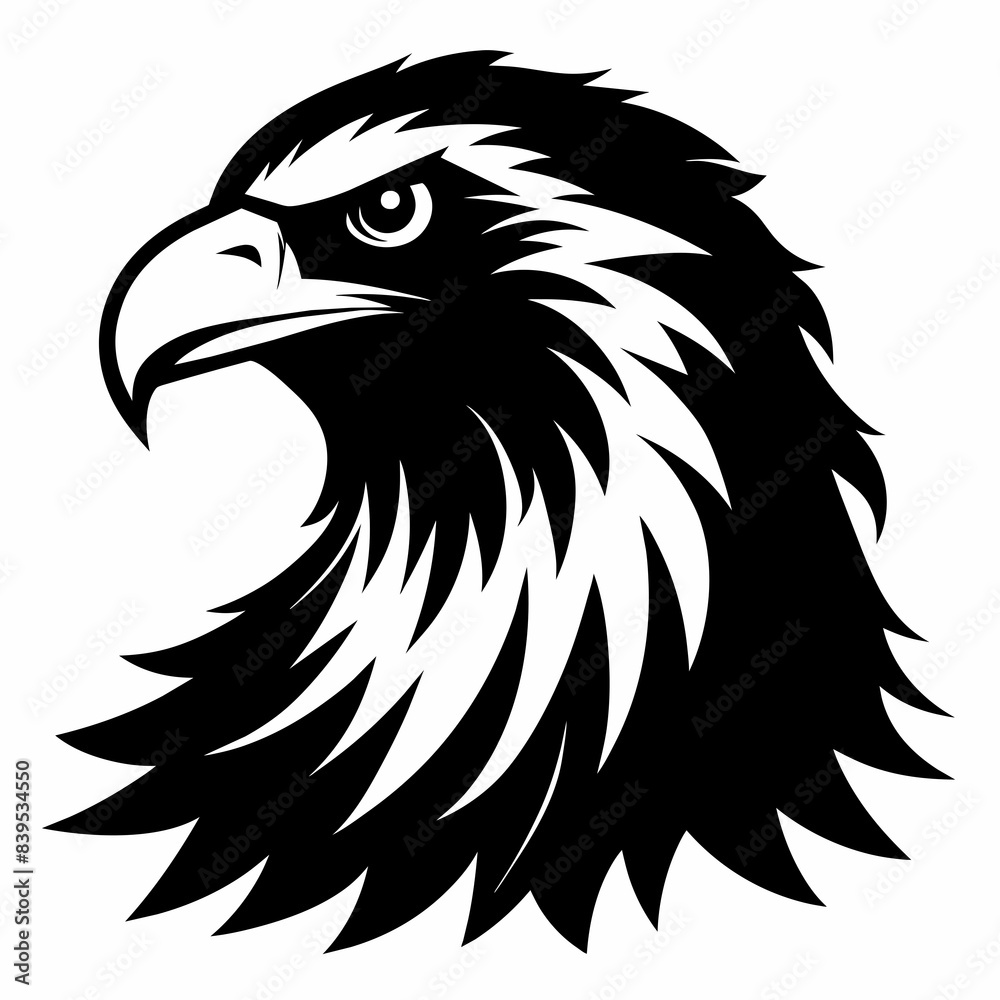 eagle head isolated on white eagle head isolated on white