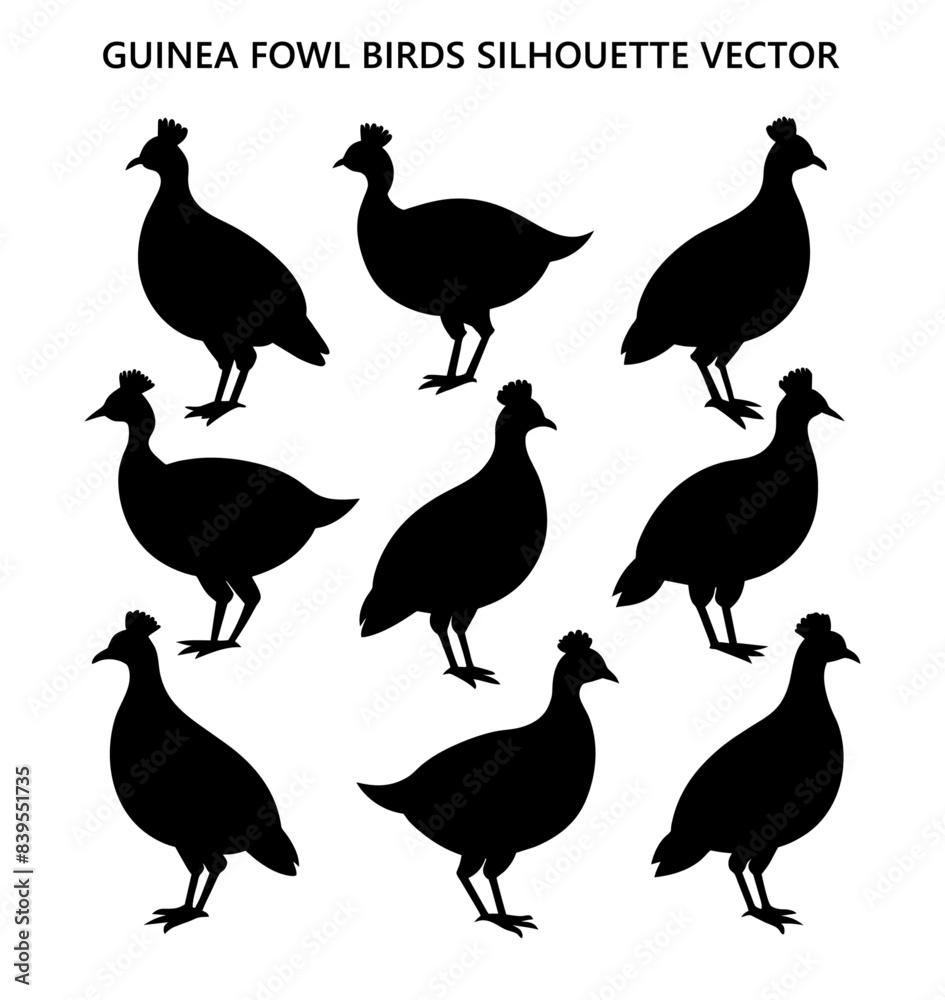 Obraz premium Guinea fowl birds Silhouette Vector