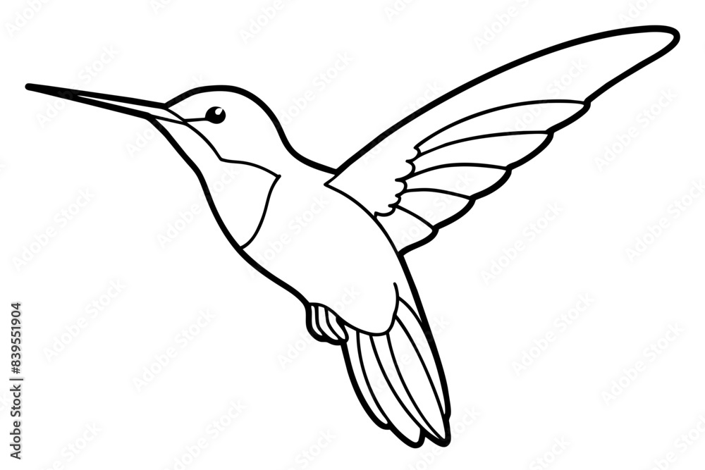 hummingbird line art silhouette vector illustration hummingbird line art silhouette vector illustration