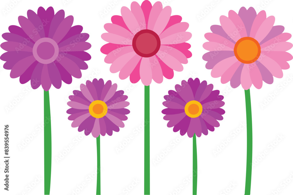 set of daisy flowers set of daisy flowers