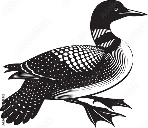 loon silhouette vector illustration, Loon silhouette vector art illustration with white background