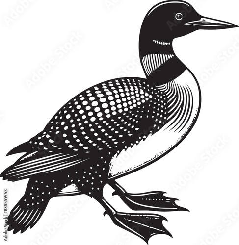 loon silhouette vector illustration, Loon silhouette vector art illustration with white background