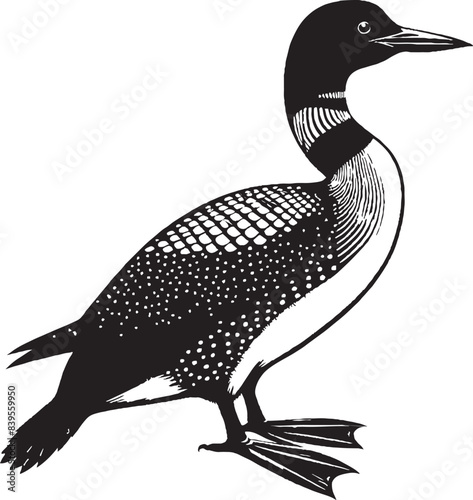 loon silhouette vector illustration, Loon silhouette vector art illustration with white background