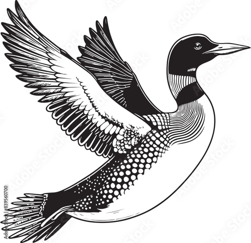loon silhouette vector illustration, Loon silhouette vector art illustration with white background