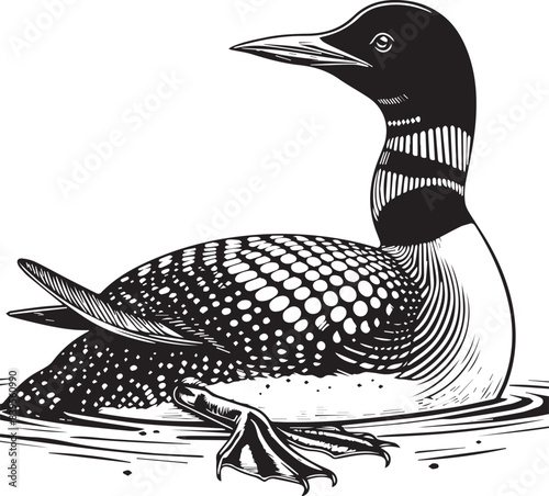 loon silhouette vector illustration, Loon silhouette vector art illustration with white background