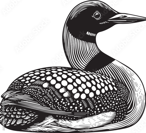 loon silhouette vector illustration, Loon silhouette vector art illustration with white background