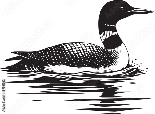 loon silhouette vector illustration, Loon silhouette vector art illustration with white background