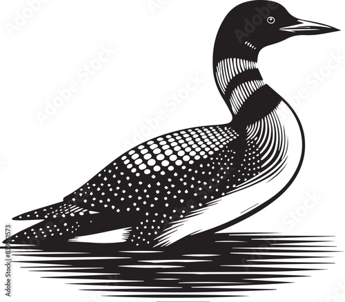loon silhouette vector illustration, Loon silhouette vector art illustration with white background