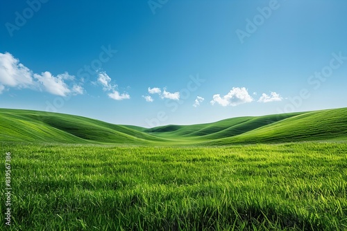 Illustration of wide shot of grassy hills, a clear blue sky, rolling green grass, realistic photography