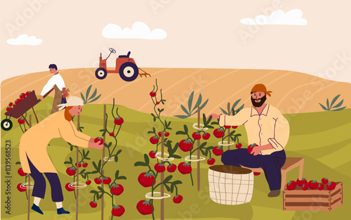 Hand drawn flat fruit harvest composition background with people