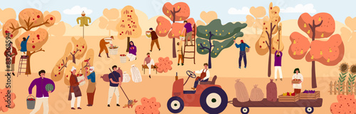 Happy people harvesting in an orchard or on a farm. Autumn harvest, seasonal agricultural work. Flat  colourful vector illustration.