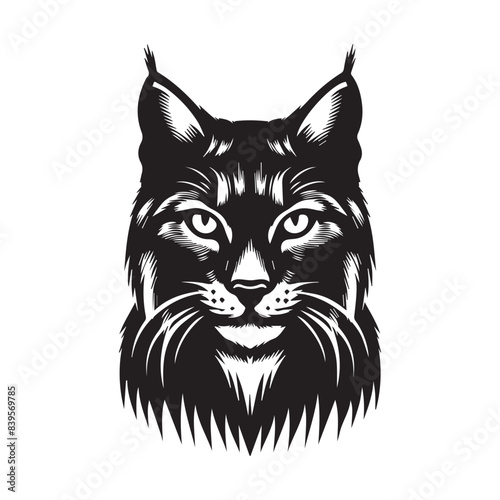 Bobcat vector art illustration