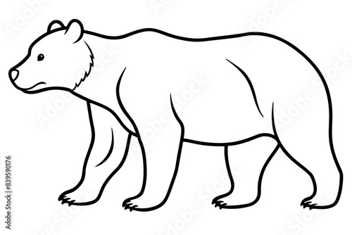 grizzly line art silhouette vector illustration