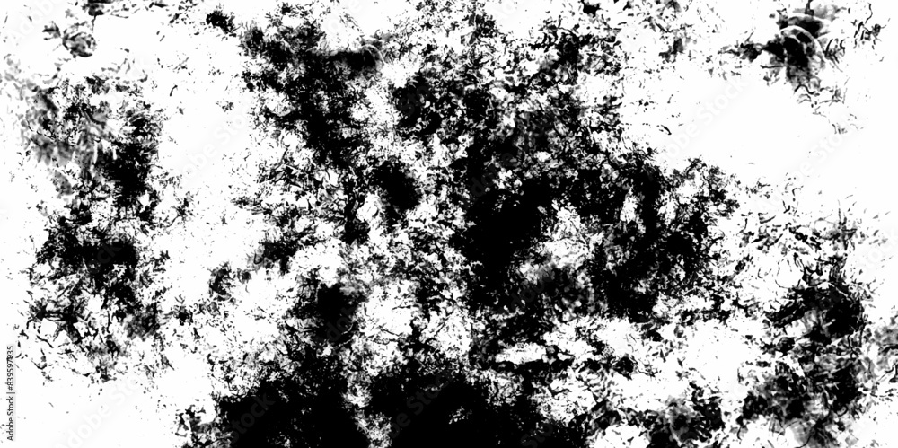 Monochrome texture of the brush strokes with a dry brush in grunge style. Polished grunge abstract distressed texture background. Luxury white paper texture with speckled grunge black and white crack. Monochrome texture of the brush strokes with a dry brush in grunge style. Polished grunge abstract distressed texture background. Luxury white paper texture with speckled grunge black and white crack.
