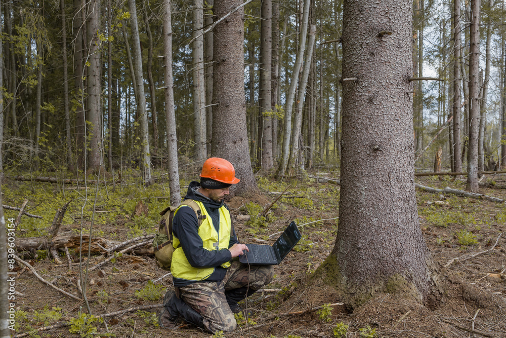 Forest engineer - taxicab worker works in the forest with a computer. The glare from the sky is reflected on the computer screen. Forest engineer - taxicab worker works in the forest with a computer. The glare from the sky is reflected on the computer screen.